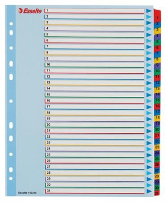 Regiszter, laminált karton, A4 Maxi, 1-31, újraírható, ESSELTE